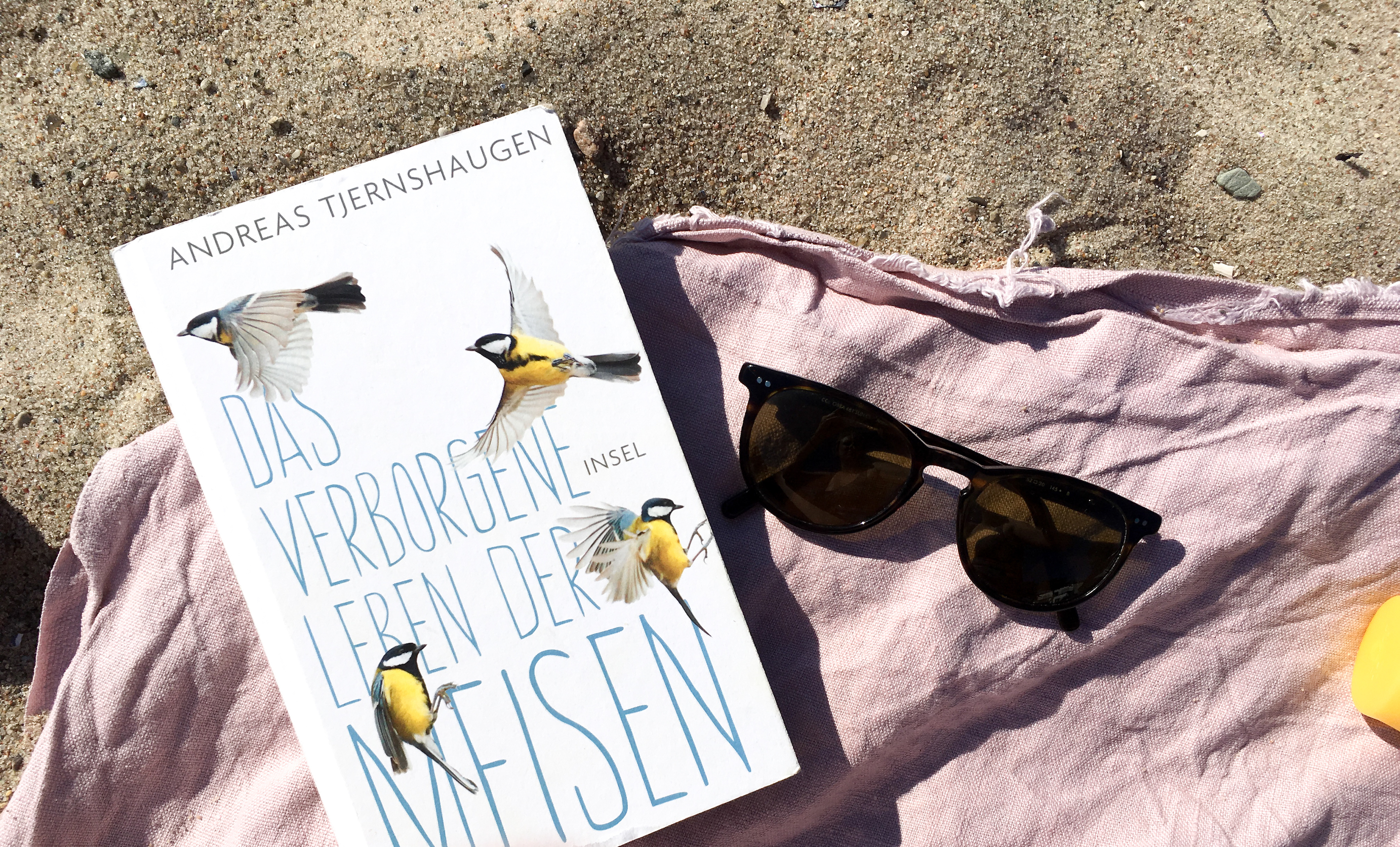 Sommerlektüre: Unsere Buchtipps + VERLOSUNG