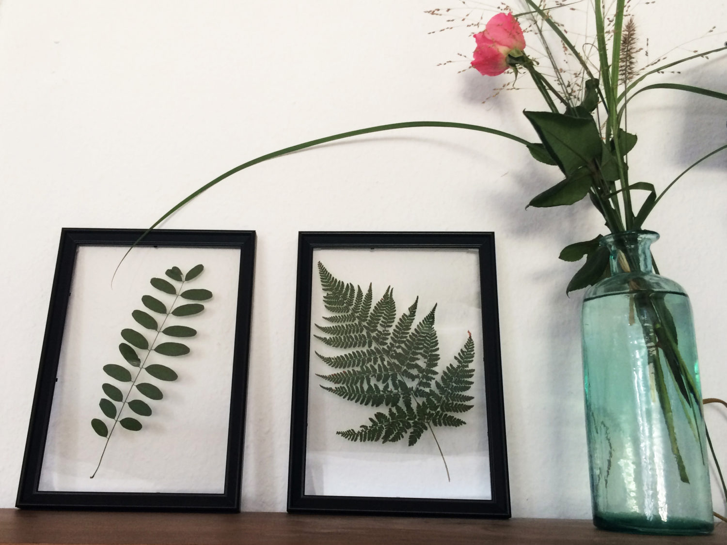 DIY Glas-Herbarium