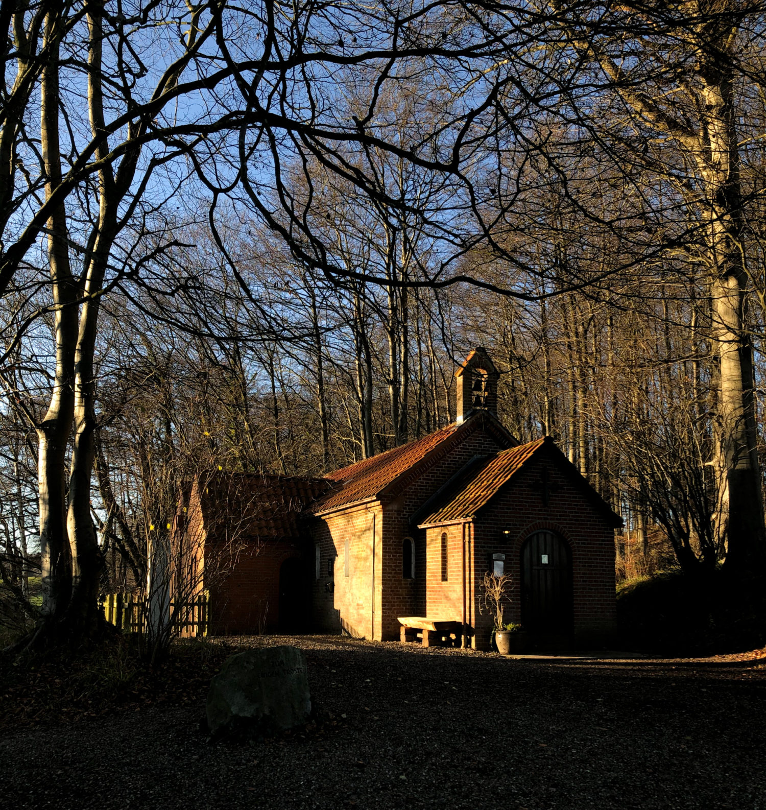 Weihnachtsspaziergang im Rönner Holz